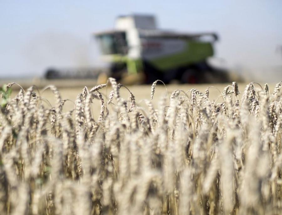 Multiple Bread Basket Failures