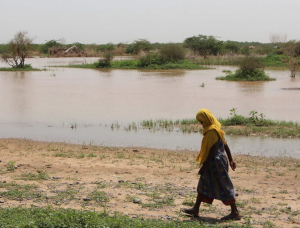 Scientists warn data gaps must not block loss and damage